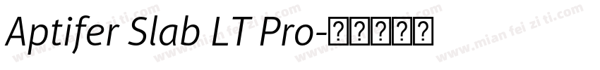 Aptifer Slab LT Pro字体转换